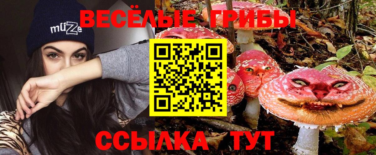 Бийск  Псилоцибиновые грибы Psilocybe  Вход с VPN  Псилоцибиновые грибы мухоморы 